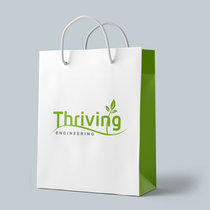 design and print high quality paper bag in lagos nigeria